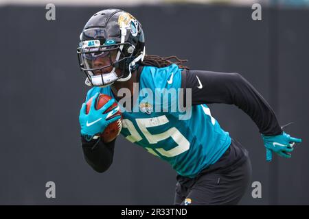 Jacksonville Jaguars running back D'Ernest Johnson (25) runs into the end  zone to score a touchdown during the first half of an NFL preseason  football game against the Miami Dolphins, Saturday, Aug.