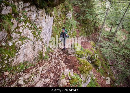 ascenso por el barranco de Anaye, alta ruta pirenaica, región de Aquitania, departamento de Pirineos Atlánticos, Francia. Stock Photo