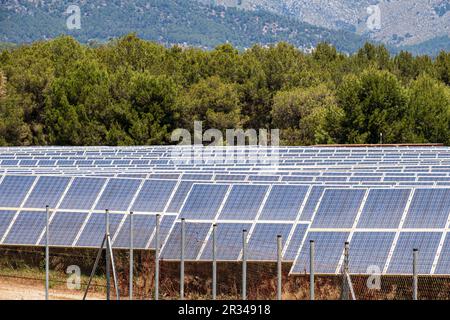 parque de energía solar fotovoltaica, ses Barraques, Calviá, Mallorca, Balearic Islands, Spain. Stock Photo