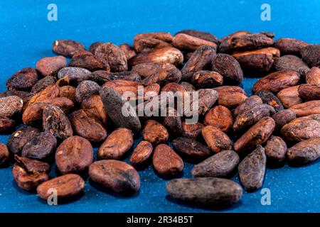 Roasted cocoa beans on blue background. Stock Photo