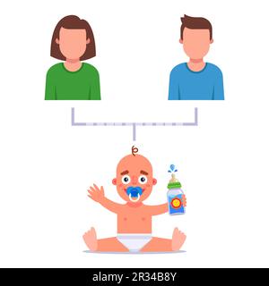 child's parents. family tree. flat vector illustration. Stock Vector