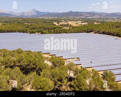 parque de energía solar fotovoltaica, ses Barraques, Calviá, Mallorca, Balearic Islands, Spain. Stock Photo