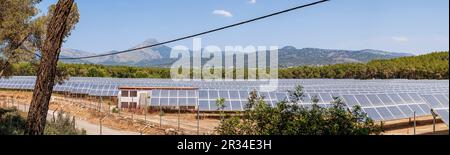 parque de energía solar fotovoltaica, ses Barraques, Calviá, Mallorca, Balearic Islands, Spain. Stock Photo