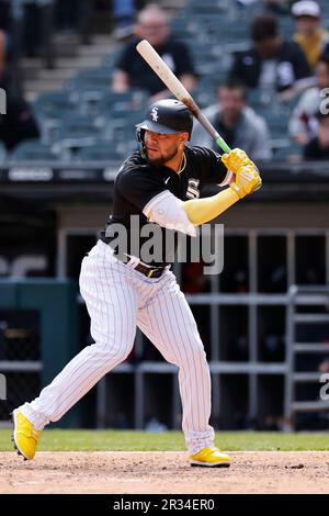 Chicago White Sox designated hitter Manny Ramirez bats during a baseball  game against the Cleveland Indians at Progressive Field in Cleveland on  Wednesday, September 1, 2010. UPI/David Richard Stock Photo - Alamy