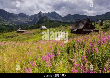 cabaña, Valle de gasienicowa , parque nacional Tatra, voivodato de la Pequeña Polonia, Cárpatos, Polonia, europe. Stock Photo