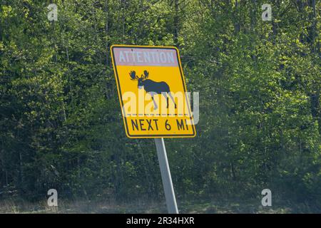 Moose on highway warning sign in Maine, USA. Stock Photo