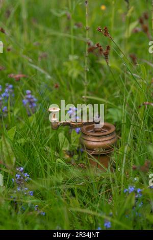 Old metal golden mill grinder in green spring fresh grass Stock Photo