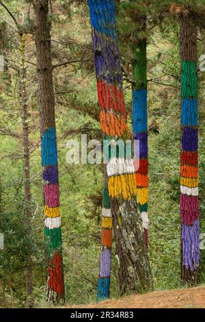 bosque de Oma, El arco iris de Naiel ,1984, Agustin Ibarrola,Kortezubi, Vizcaya,Euzkadi, Spain. Stock Photo