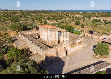 Son Fortesa Vell, Manacor, comarca de Llevant, Mallorca, Balearic Islands, Spain. Stock Photo