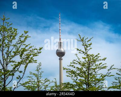 TV tower Alexanderplatz, behind the branches of trees, Berlin, Germany. Television tower in the center of Berlin. Stock Photo