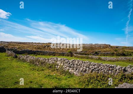 Landscape of Inis Mór, or Inishmore, the largest of the Aran Islands in Galway Bay, off the west coast of Ireland, with stone walls. Stock Photo