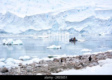 A group of tourists makes an excursion on a motorboat in Antarctica. Stock Photo