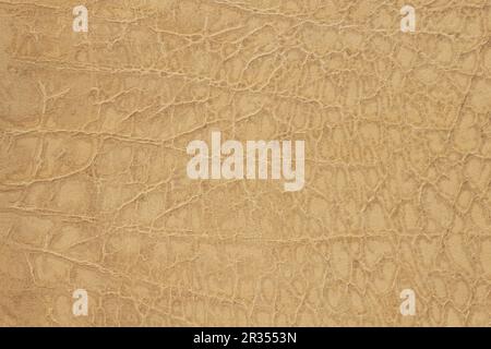 Texture of yellow brown genuine leather close-up with wrinkles and cracks, embossed under e skin of reptile, natural background Stock Photo