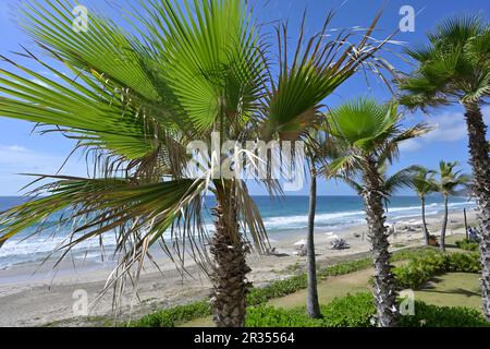 The luxury Conrad Punta de Mita Resort, Nayarit MX Stock Photo