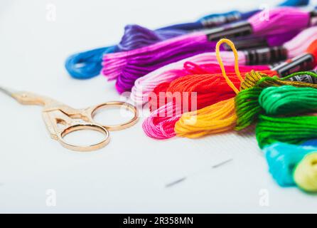 Cross-Stitch Set with printed canvas, needle and floss thread Stock Photo -  Alamy