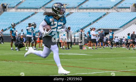 Jacksonville Jaguars running back JaMycal Hasty (22) runs after catching a  pass during the second half of an NFL football game against the Baltimore  Ravens, Sunday, Nov. 27, 2022, in Jacksonville, Fla. (