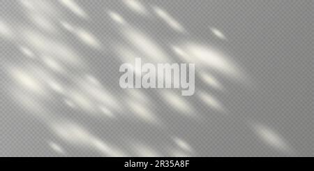 Sunlight on a wall overlay, sunbeams in a room light effect. Stock Vector