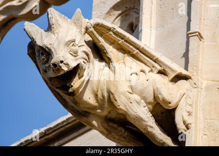 gargola en forma de dragon, Lonja de Palma de Mallorca , Sa Llotja, antigua sede del Colegio de Mercaderes, Monumento histórico-artístico, construida por Guillem Sagrera entre 1420 y 1452, Palma, Mallorca, balearic islands, Spain. Stock Photo