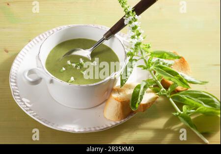 Broccoli and basil soup Stock Photo