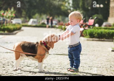 Boy is feeding the dog Stock Photo