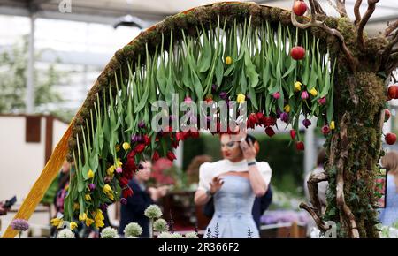 London, Britain. 22nd May, 2023. People visit the Royal Horticultural Society (RHS) Chelsea Flower Show during the press day in London, Britain, on May 22, 2023. The annual RHS Chelsea Flower Show will open to the public here on May 23. Credit: Li Ying/Xinhua/Alamy Live News Stock Photo