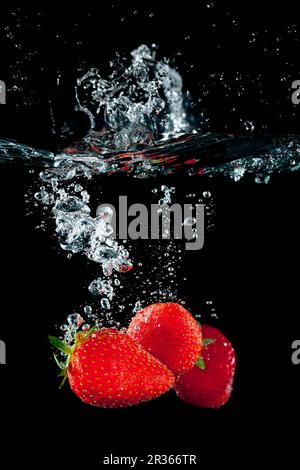 Strawberries falling in water with a splash Stock Photo