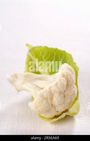 A cauliflower floret with a leaf Stock Photo