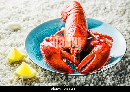 Cooked lobster with lemon on gravel Stock Photo