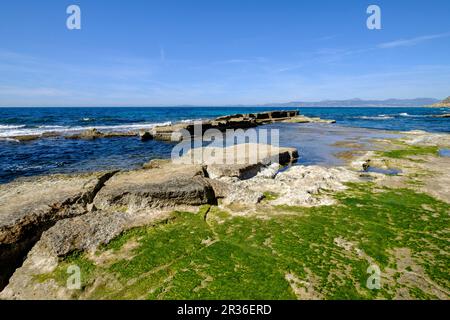 Delta beach, Municipality of Llucmajor, Mallorca, balearic islands, spain, europe. Stock Photo