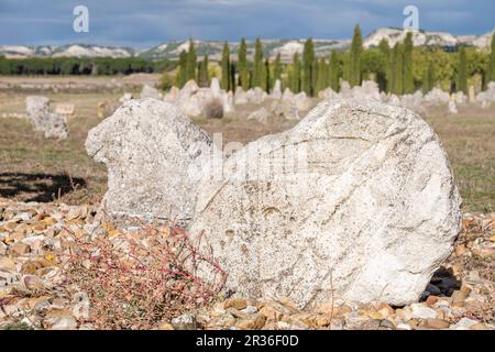 Vacceos funeral stele, necropolis of 'Las Ruedas', ancient Vaccea city of Pintia, Padilla de Duero, Valladolid province, Spain. Stock Photo