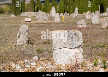 Vacceos funeral stele, necropolis of 'Las Ruedas', ancient Vaccea city of Pintia, Padilla de Duero, Valladolid province, Spain. Stock Photo