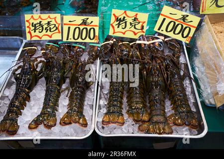 Lobster at the Tsukiji fish market in Tokyo, Japan Stock Photo