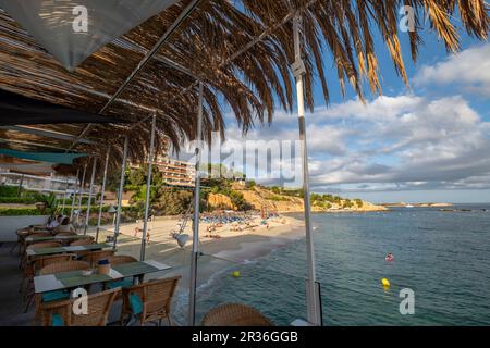 Portals Nous, Els Terrers de S'Hostalet, Calviá, Mallorca, balearic islands, Spain. Stock Photo