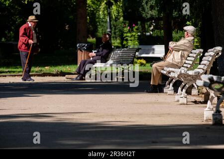 anciano descansando al sol, parque de la Alameda de Cervantes, La Dehesa, Soria, Comunidad Autónoma de Castilla, Spain, Europe. Stock Photo