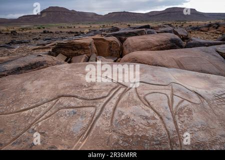 petroglyph, Aït Ouazik rock deposit, late Neolithic, Morocco, Africa. Stock Photo