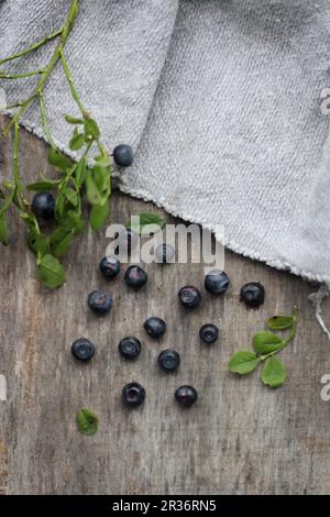 Small blueberries on a wooden board Stock Photo