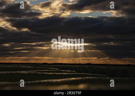 Sunset in Cotton Gin, Narrarbri, Australia Stock Photo