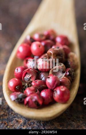 Red peppercorns on a wooden spoon (close-up) Stock Photo