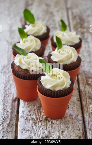 Chocolate cupcakes with buttercream roses and mint Stock Photo