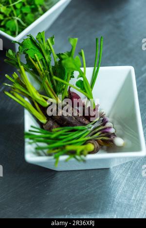 A dish full of micro-vegetables Stock Photo