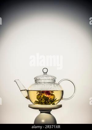 Tea with flowering tea in a glass jug Stock Photo