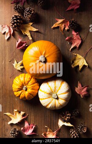 Pumpkin still life with pine cones and autumn leaves Stock Photo