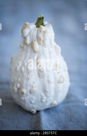 A calabash on a wooden background Stock Photo