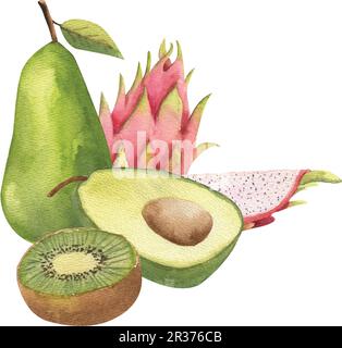 A set of tropical fruits, dragon fruit, kiwi, avocado, pear, highlighted on a white background. Watercolor. Stock Vector