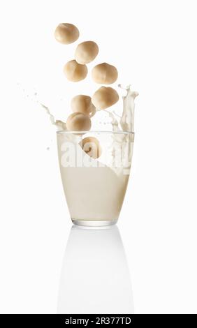 Macadamia nuts falling into a glass of macadamia milk Stock Photo