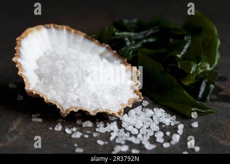 Coarse salt in a sea shell next to wakame seaweed and spilled salt, on dark stone. Stock Photo
