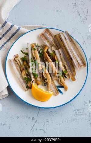 A top view of mussel shells and razor shells on a beach Stock Photo - Alamy