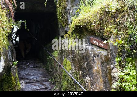 A man in silhouette descending the wishing steps on the grounds of Blarney Castle in Ireland. Stock Photo
