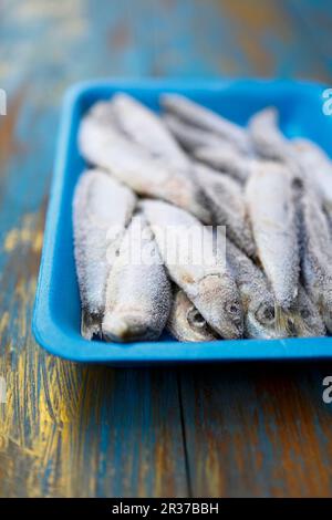 A sardine on blue background FoodCollection Stock Photo - Alamy