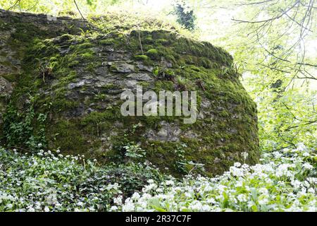 The old Ice House on the grounds of Blarney Castle in Ireland. Stock Photo